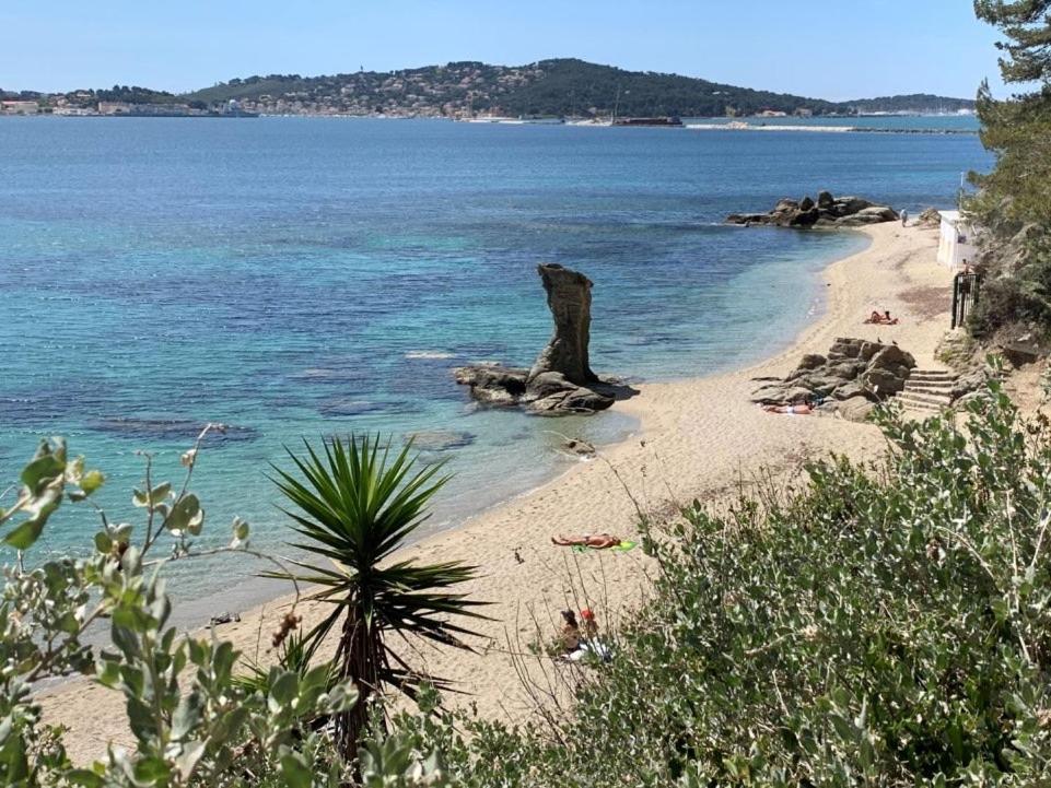 Superbe Appartement Proche Gare Toulon Bagian luar foto